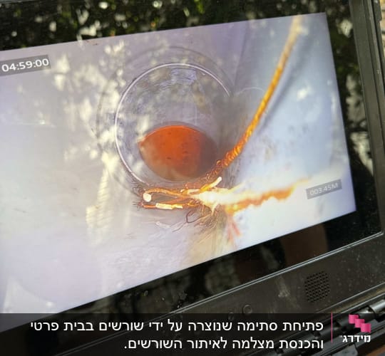 מסך המציג צילום פנימי של צינור עם שורשים